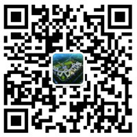 成都東辰外國(guó)語學(xué)校微信公(gōng)衆号